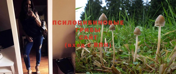 бутират Горняк
