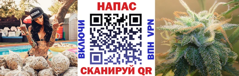 Купить закладки  Саров  Конопля ГИДРОПОН 